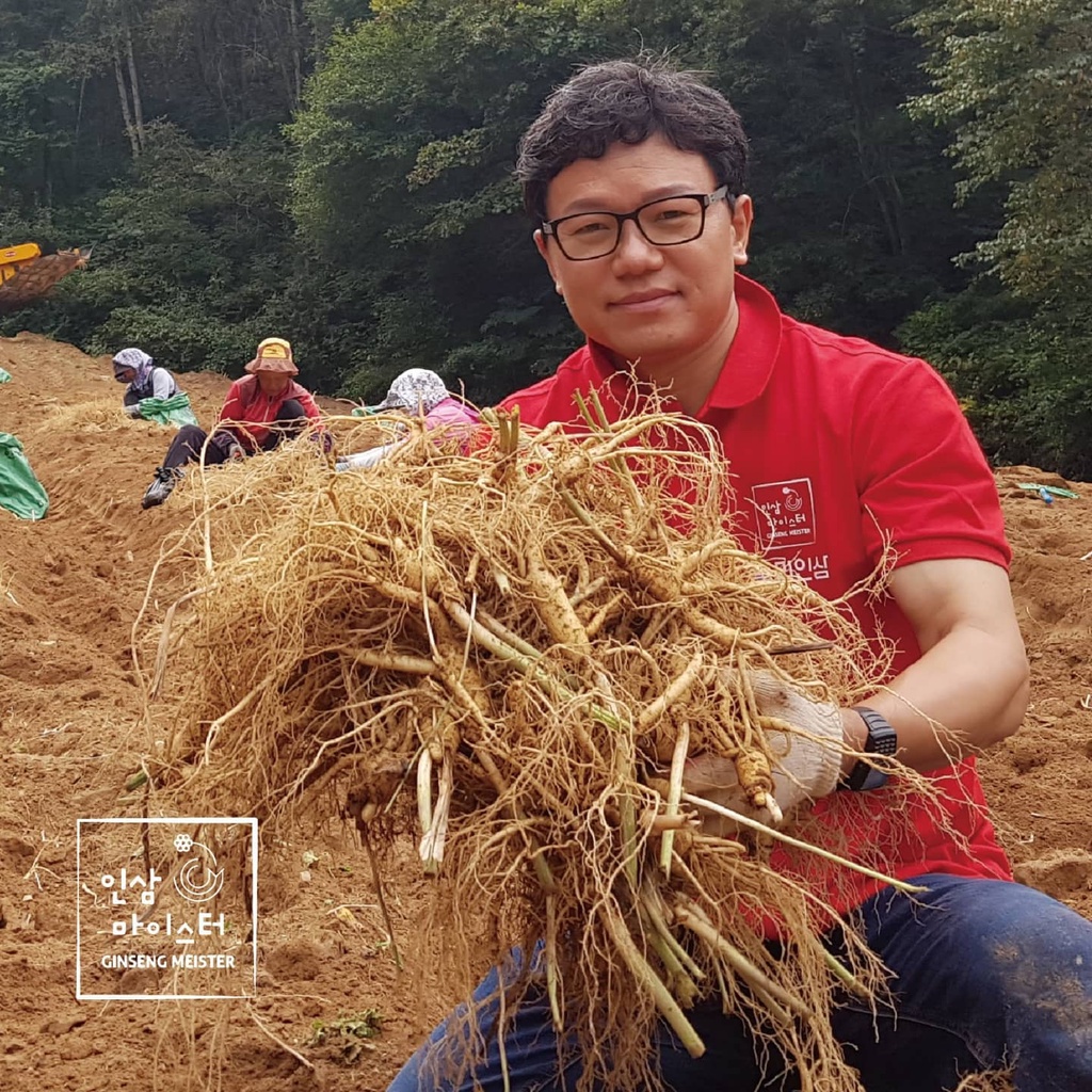 Cao Hồng Sâm Hàn Quốc Nolmae Red Ginseng Concentrate Gold 50g