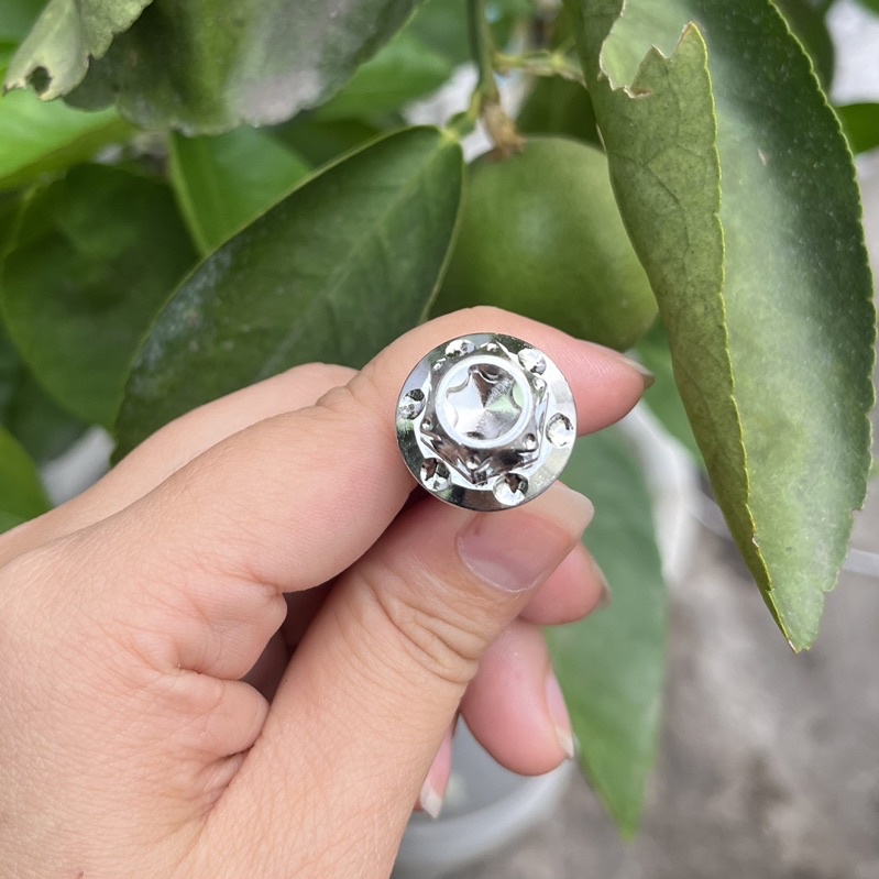 Ốc pas heo Ya 10li23 inox304 Ex150/Ex10