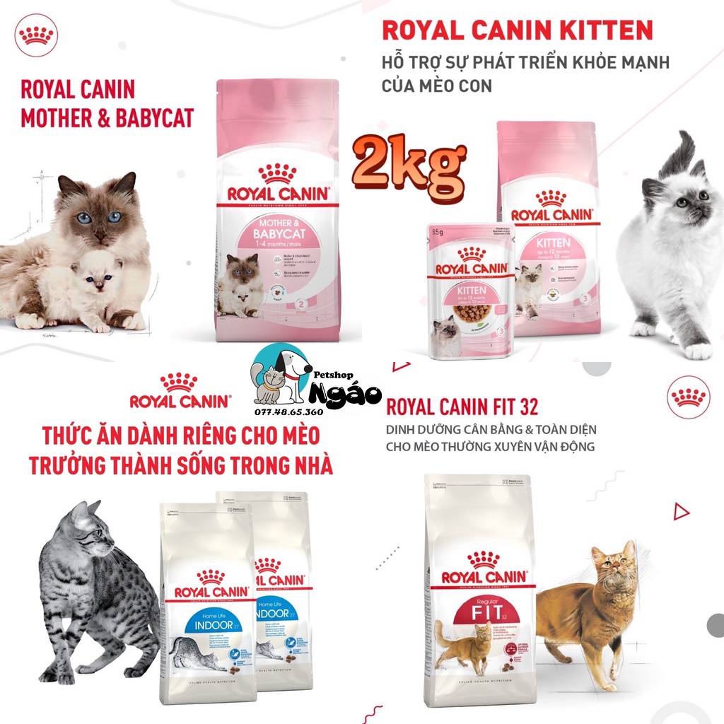 [ 2kg ] Thức ăn mèo Royal Canin Baby, Kitten, Indoor, Fit32 __