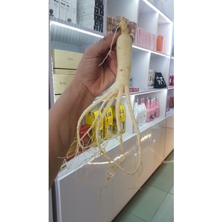 Nhân sâm Hàn Quốc