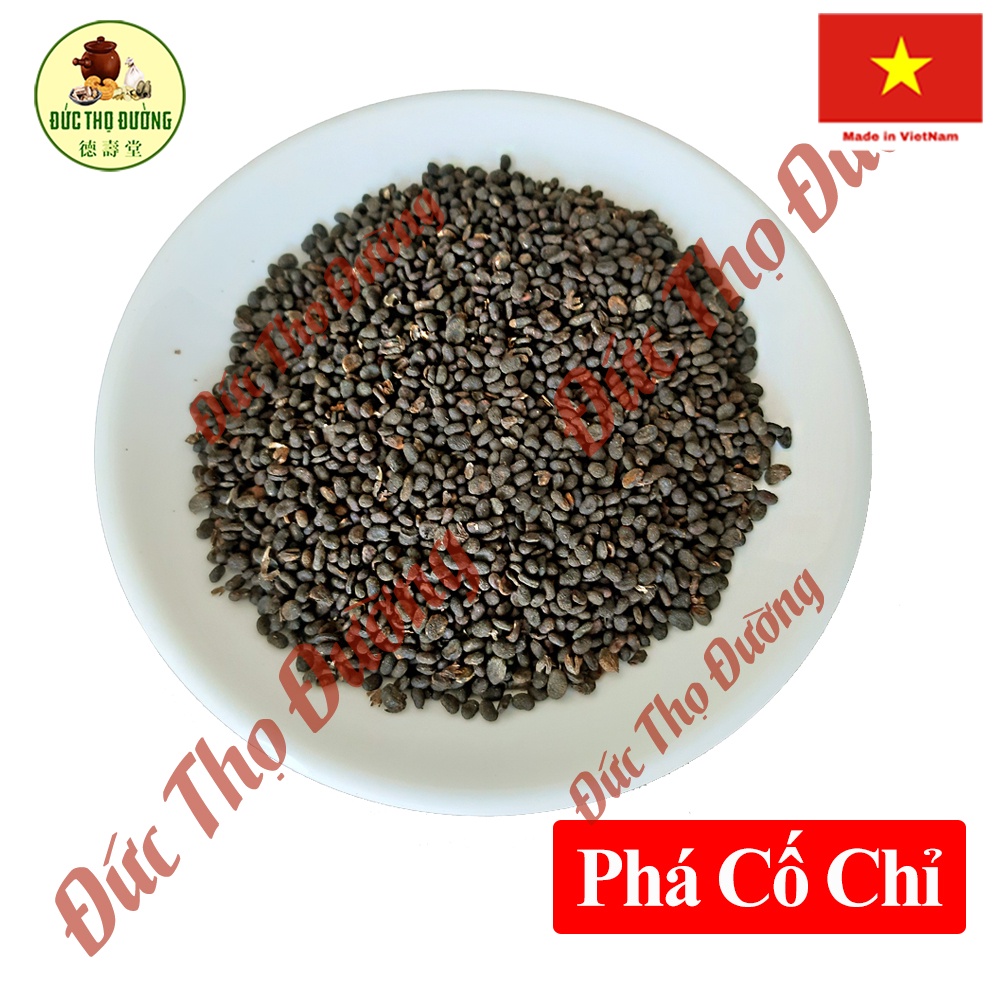 Phá Cố Chỉ - Dạng bào chế - Túi 100g