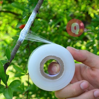 Giấy ghép cây tự hủy, băng keo ghép cây, màng ghép cành nối cây rộng 3cm dài 85m
