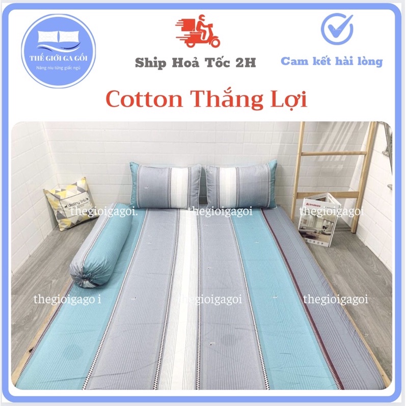Bộ Drap Cotton Thắng lợi hàng chuẩn có in Logo ( 1ga + 3 vỏ gối)