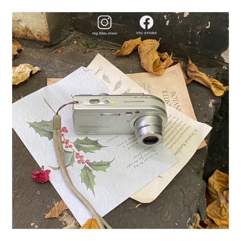 Máy ảnh Sony Cybershot DSC-P100