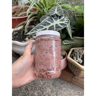 Mắm ruốc chà ( mắm khô)-500gr