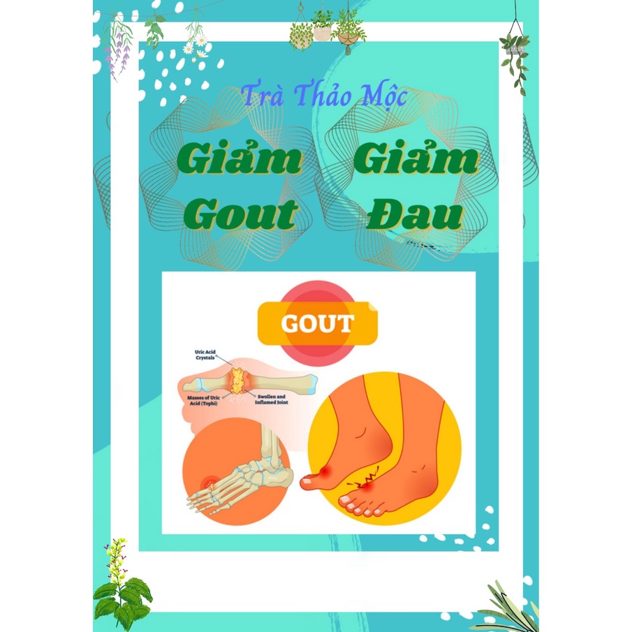TRÀ GOUT, cứu cánh cho những người bị GÚT , 40 Túi lọc