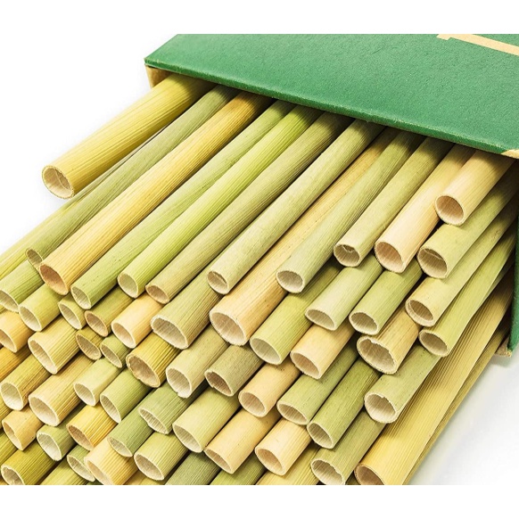 Ống hút cỏ bàng (Grass straws) Hộp 100 ống dài 20 cm - Hàng xuất khẩu đi Mỹ - Dùng được cho tất cả các loại thức uống