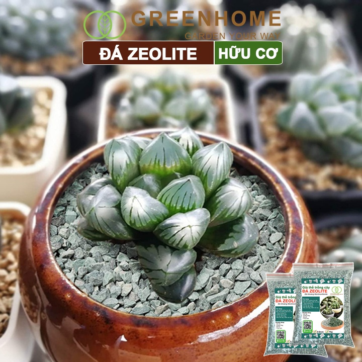 Đá zeolite Greenhome, bao 25kg, size 3-6mm, rãi mặt, giá thể, sen đá, xương rồng, hồ thuỷ sinh