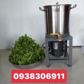 MÁY XAY LÁ DỨA 1kg