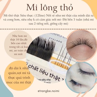Mi lông thỏ thật 100% nhả cong