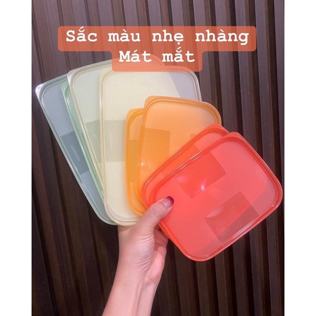 Set 8 hộp trữ đông màu