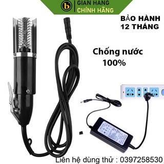 Máy đánh vảy cá chạy bằng điện và bình ác quy an toàn khi sử dụng công xuất lớn dễ đánh vảy không bị mỏi tay