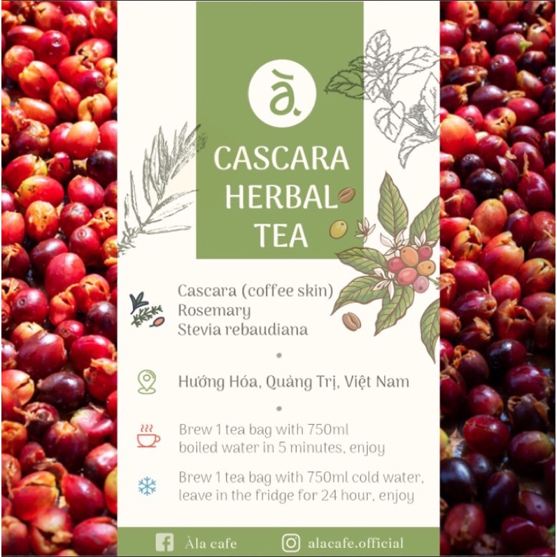 Trà vỏ quả cà phê Quảng Trị Cascara thảo mộc organic bịch 10 túi