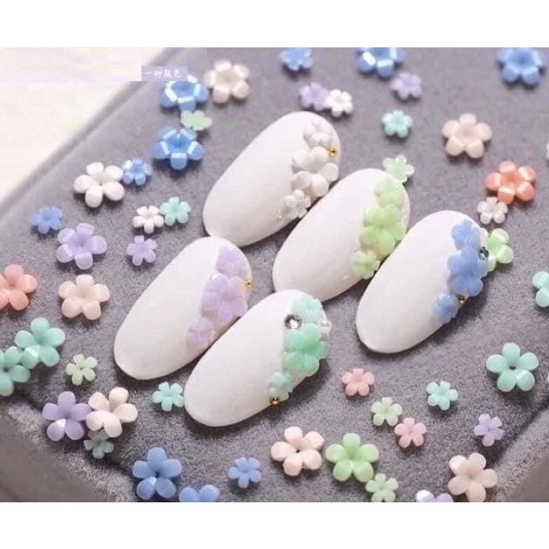 Khay hoa nhí mix màu 6 ô hoa nhí mix bi mix size