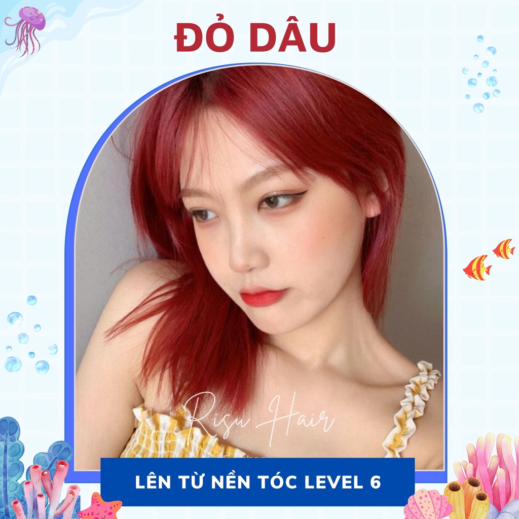 Thuốc Nhuôm Tóc Màu Đỏ Dâu, Không Tẩy - Risu Hair.