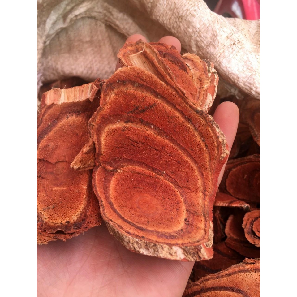 1kg Cây cỏ khô, thảo dược được thu hái tại các cánh rừng Giúp ăn ngon ngủ Ngon Khích thích tiêu hoá