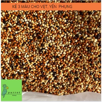 Hạt kê 3 màu cho vẹt, yến phụng, manh manh