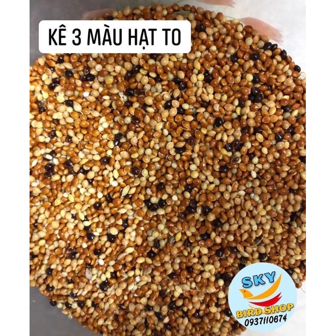Combo 3kg Kê bóng lớn( theo phân loại)