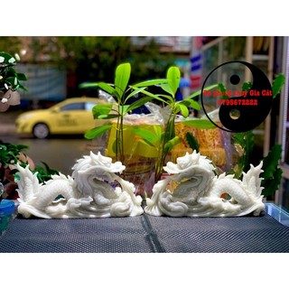 Cặp rồng nằm đá trắng 30 cm kiểm định