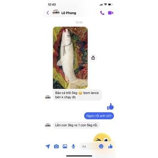 3bộ Loxo lancer buộc sẵn lưỡi.