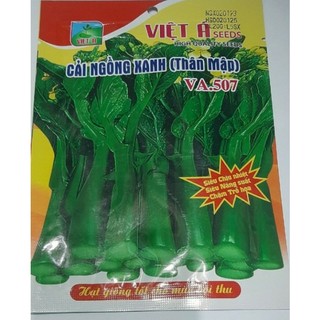 Hạt giống rau cải ngồng F1