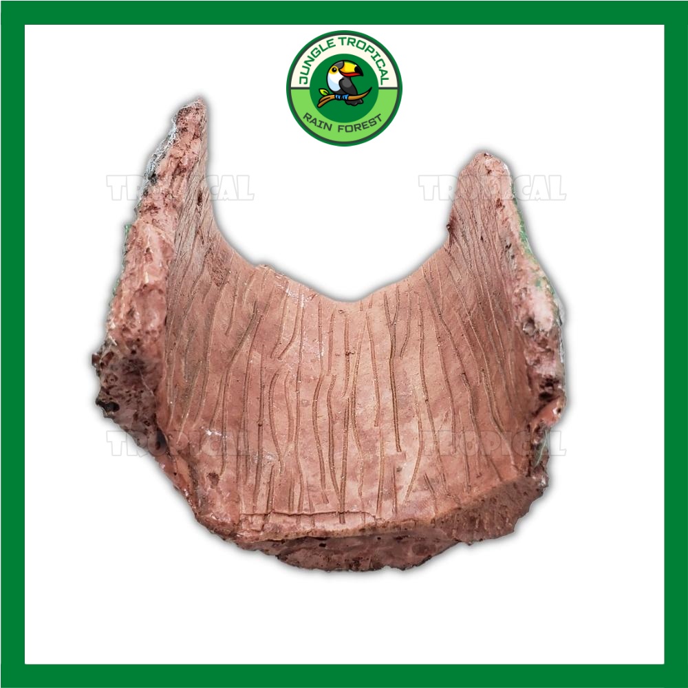 Hang trú ẩn hình gốc cây - Trang trí hồ cá tép cảnh, bể thủy sinh, hang bò sát