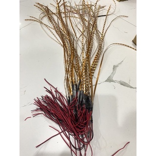 Dây Led 7 Màu Gắn Xe Máy , oto dài 50cm chống nước