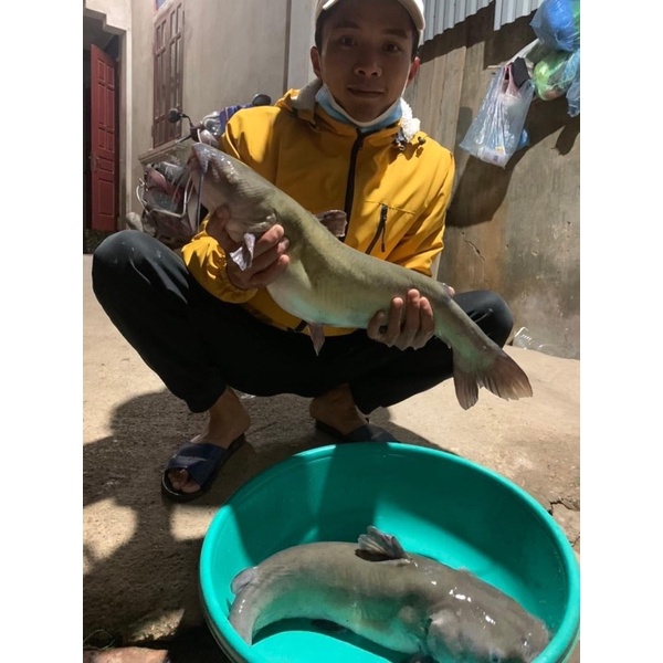 CÁM CÁ THƠM 30% đạm HAID GROUP H9030 . 100% vốn đầu tư của  Singapore .Siêu nhạy ,dụ cá tốt