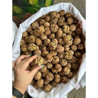 Qủa Óc Chó Trắng Hà Giang ( Đặc Sản Vùng Cao )