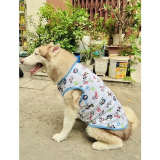 ÁO THUN GIÁ RẺ CHO CHÓ LỚN