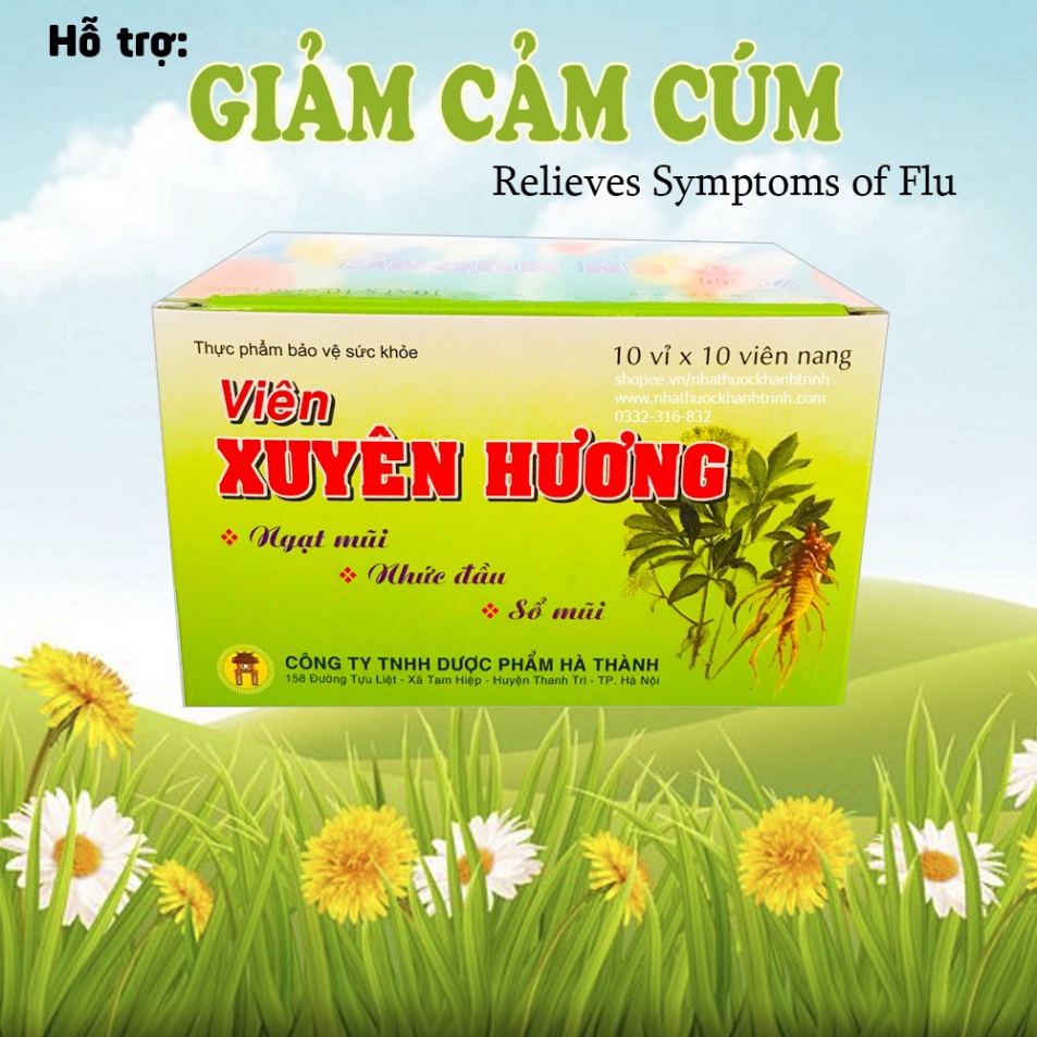 (100 viên) Viên Cảm Xuyên Hương (Hà Thành) hỗ trợ giảm cảm cúm, sổ mũi, ngứa mũi dị ứng, hắt hơi - chính hãng
