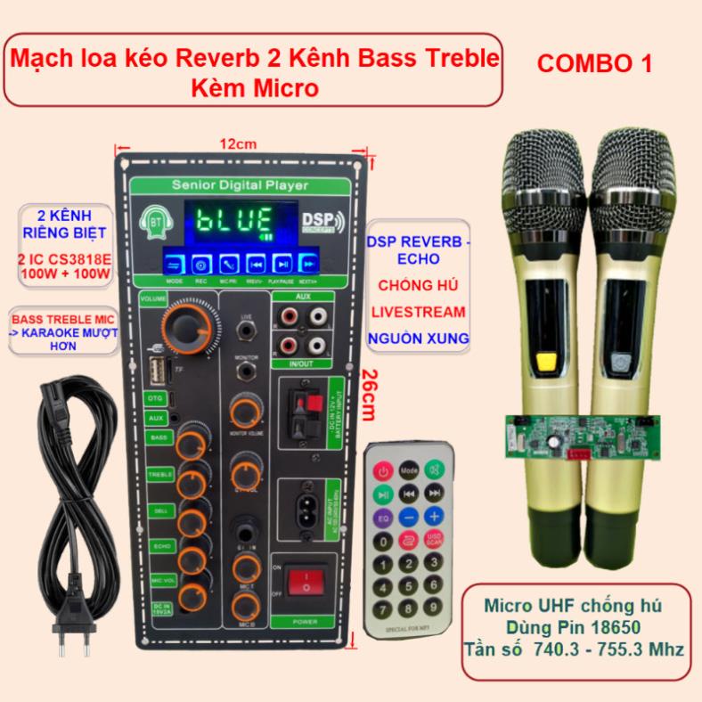 Mạch loa kéo 2 kênh OTG Livestream Chống hú DSP Reverb – Echo 2 IC CS3818E 100W + 100W – Loa kéo 3 tấc đôi Kèm Micro