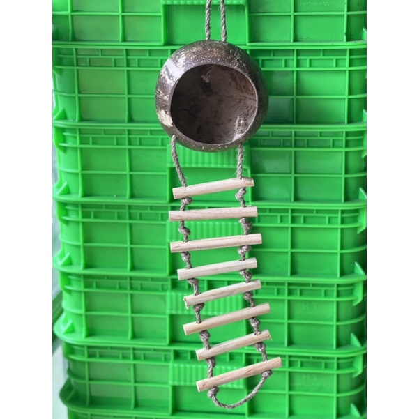 Tổ ngủ gáo dừa dành cho chim,vẹt,sóc,hamsters…