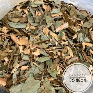 Cây lá thành ngạnh(cây đỏ ngọn) loại 1(mới, sạch, nhiều lá)[1KG]