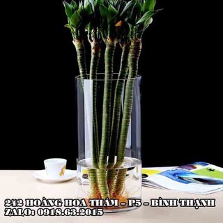 Bình bông thủy tinh trang trí ĐK12xH20, Bình cắm hoa thủy tinh trụ, lọ hoa hình trụ, trụ đổ đèn cầy, ống trụ tròn