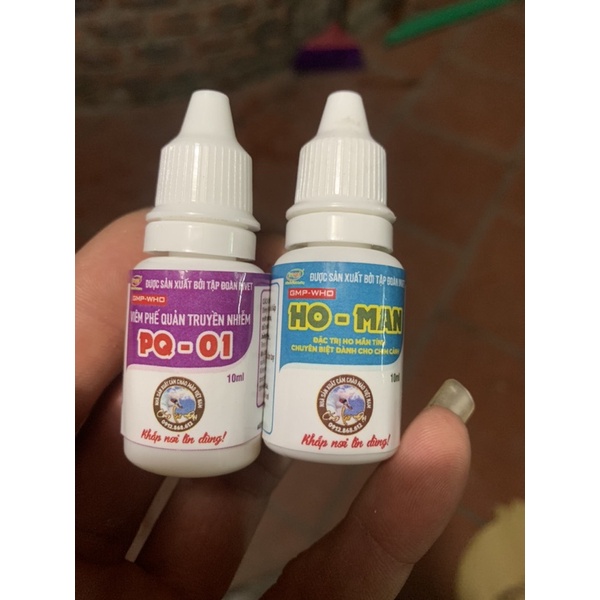 PQ-01 Lão Đại chữ a ho hen vảy mỏ chim canh