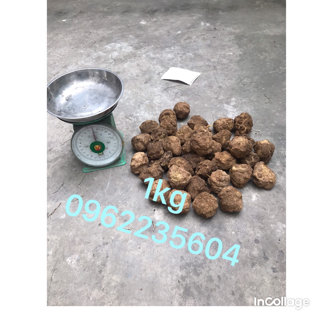 Phân bò khô nguyên chất đã xử lý, cam kết không pha tạp chất