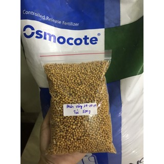 (Túi 500gr) Phân tan chậm hạt vàng Osmocote 14-14-14 ( Nhập khẩu Mỹ)