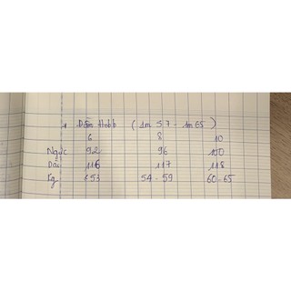 Đâm midi lụa nữ form suông