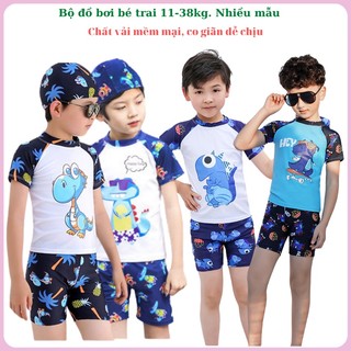 Bộ quần áo bơi bé trai họa tiết khủng long size 11-38kg