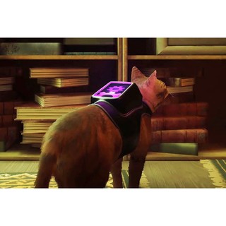 Đĩa Game PS5 Stray