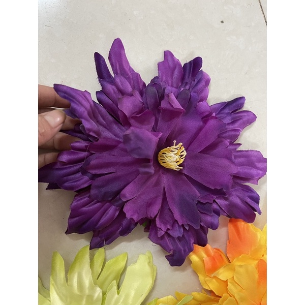 Mẫu đơn phi rời thanh lý