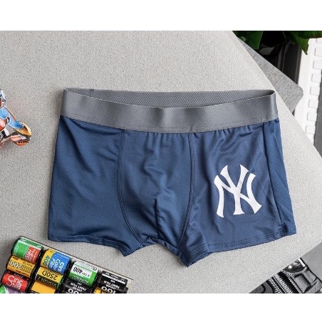 Quần Xì Nam Boxer Thun Lạnh Co Dãn, Quần Chíp Nam Boxer Cao Cấp Kháng Khuẩn NY Của shop