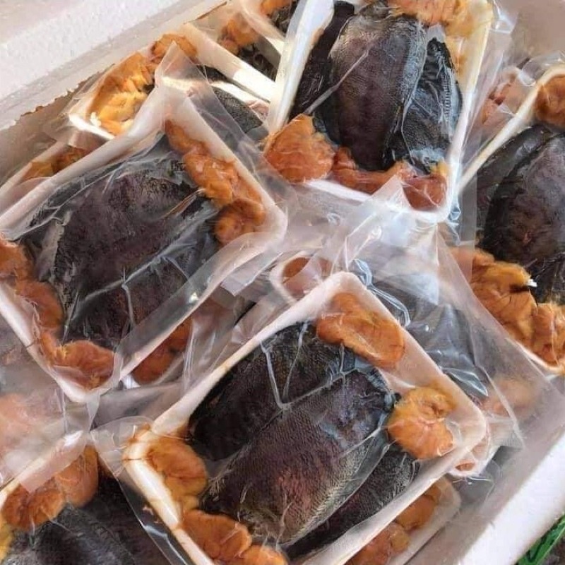 CÁ SẶC TRỨNG 1 NẮNG : 145k/1kg