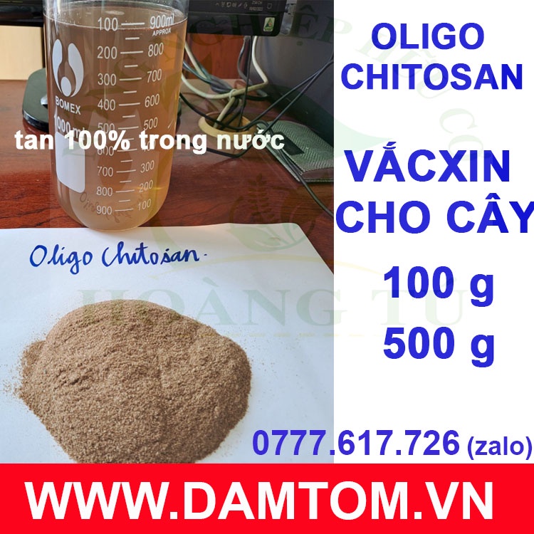 Oligo Chitosan 99% - Vắc Xin cây trồng hoạt hóa  gói 100g /500g