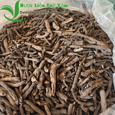 Sâm tiên mao - Sâm cau đen - Loại 1 khô cao cấp của Tuệ Tâm - Gói 100gr
