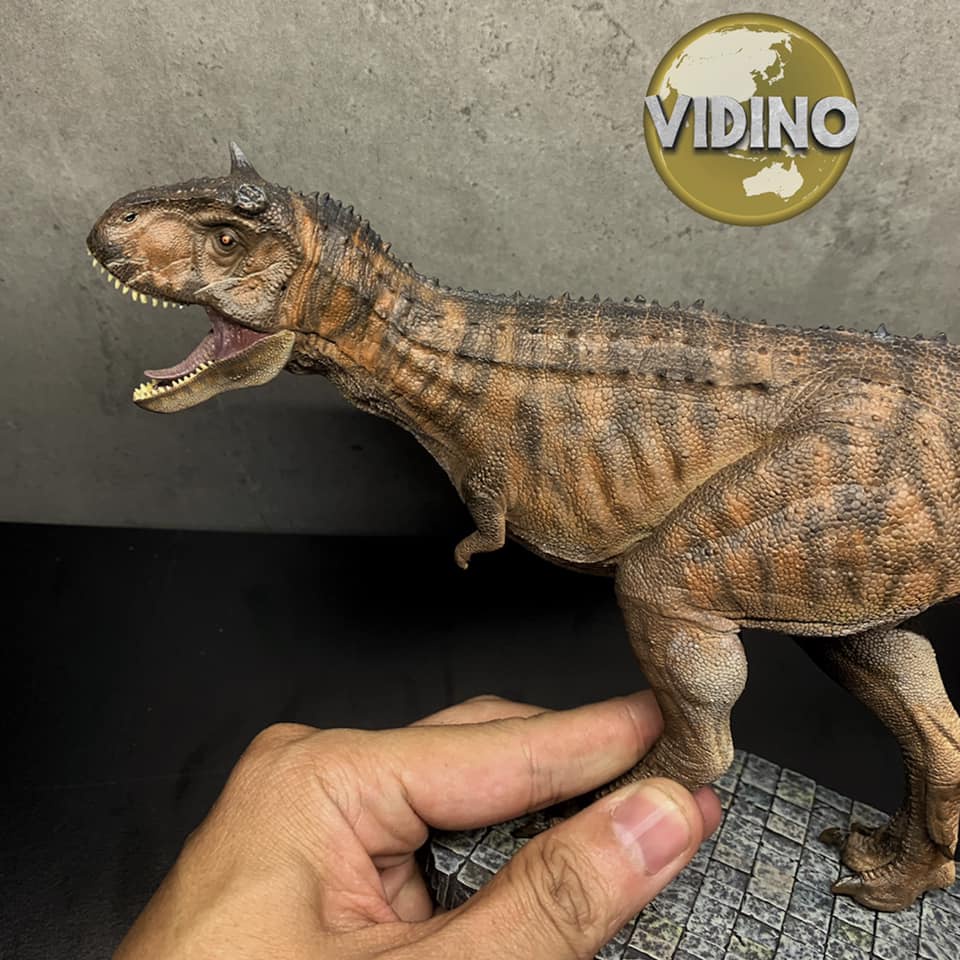 Mô hình khủng long Carnotaurus 2.0 chính hãng Nanmu Benxin