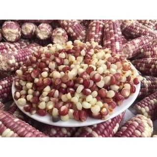 1kg bắp bung điện (giao nhanh)