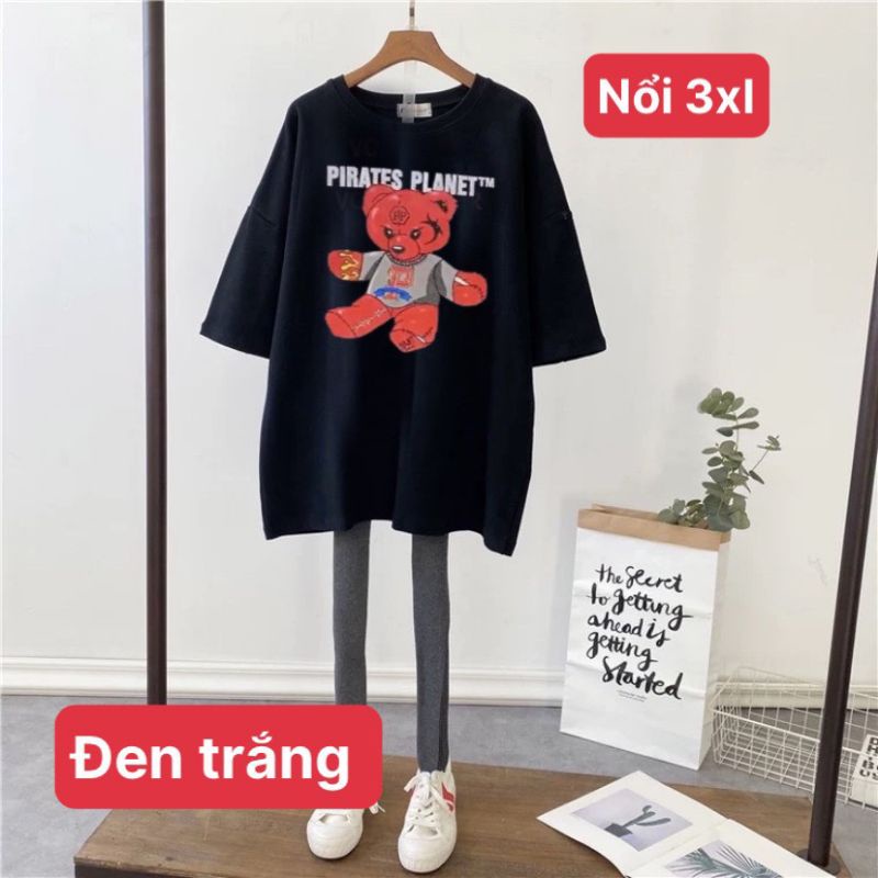 ( RẺ VÔ ĐỊCH) áo thun in nổi giá lẻ = sỉ