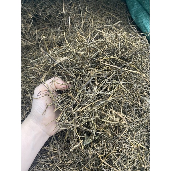 DÂY TƠ HỒNG XANH khô loại 1